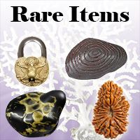 Rare Items